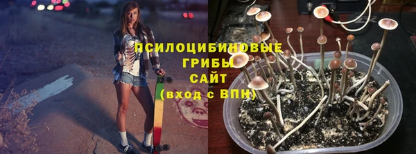 дмт Бугульма