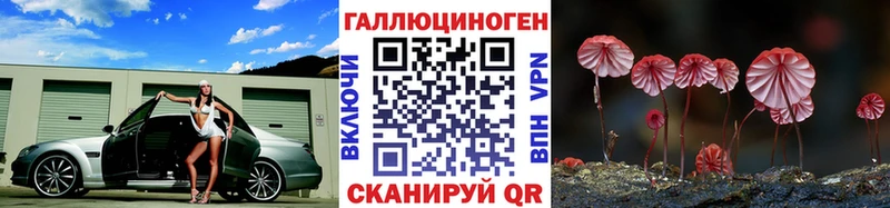 Галлюциногенные грибы мицелий  купить наркоту  mega как зайти  Чишмы 